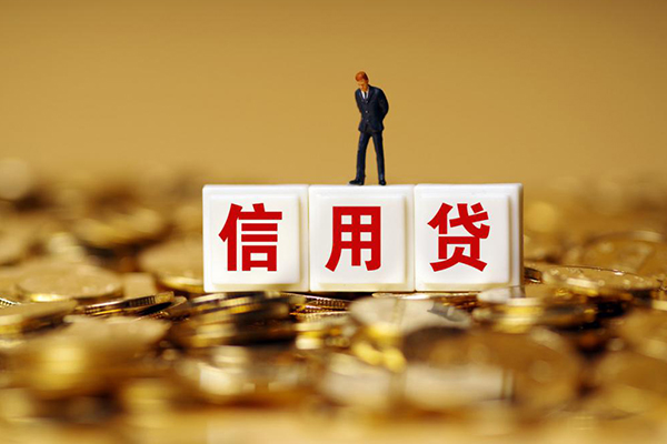 成都06私借短借